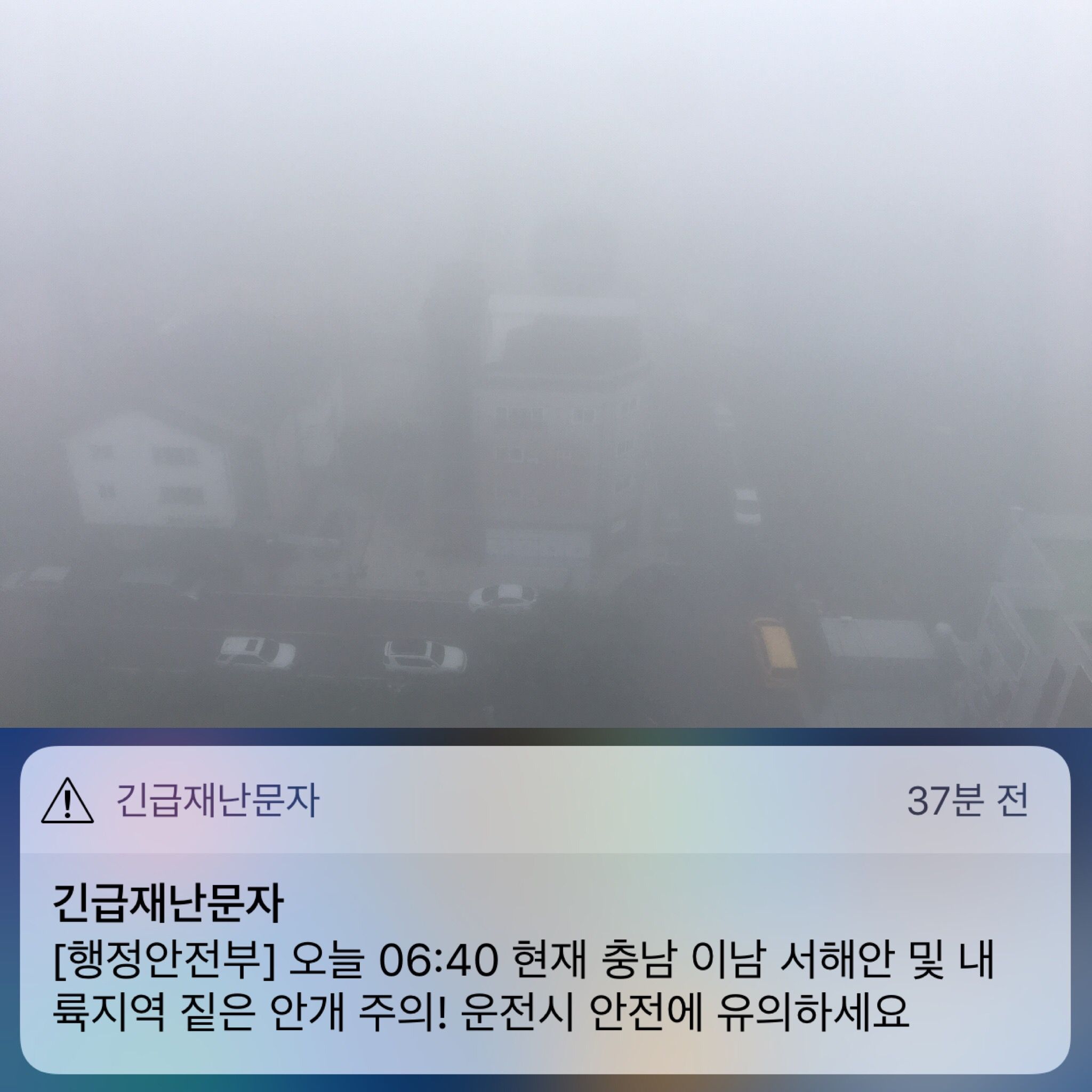 (짧 뻘글) 안개 주의