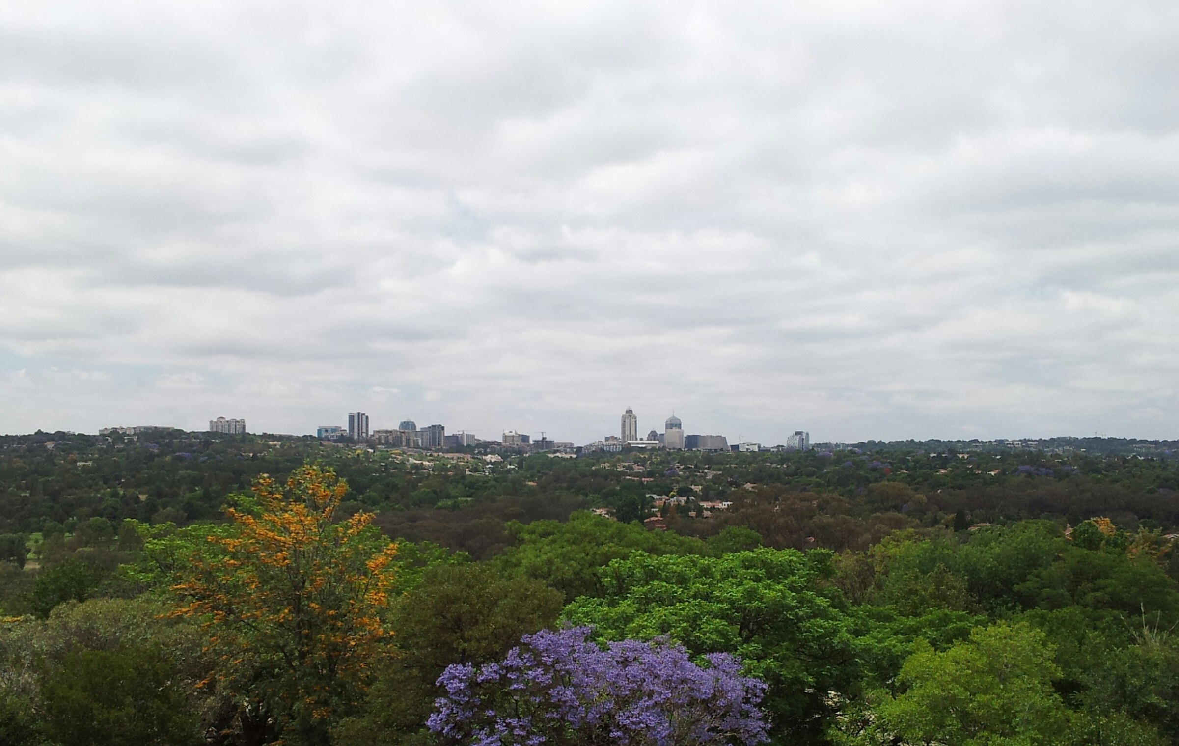 01 Joburg 2.jpg