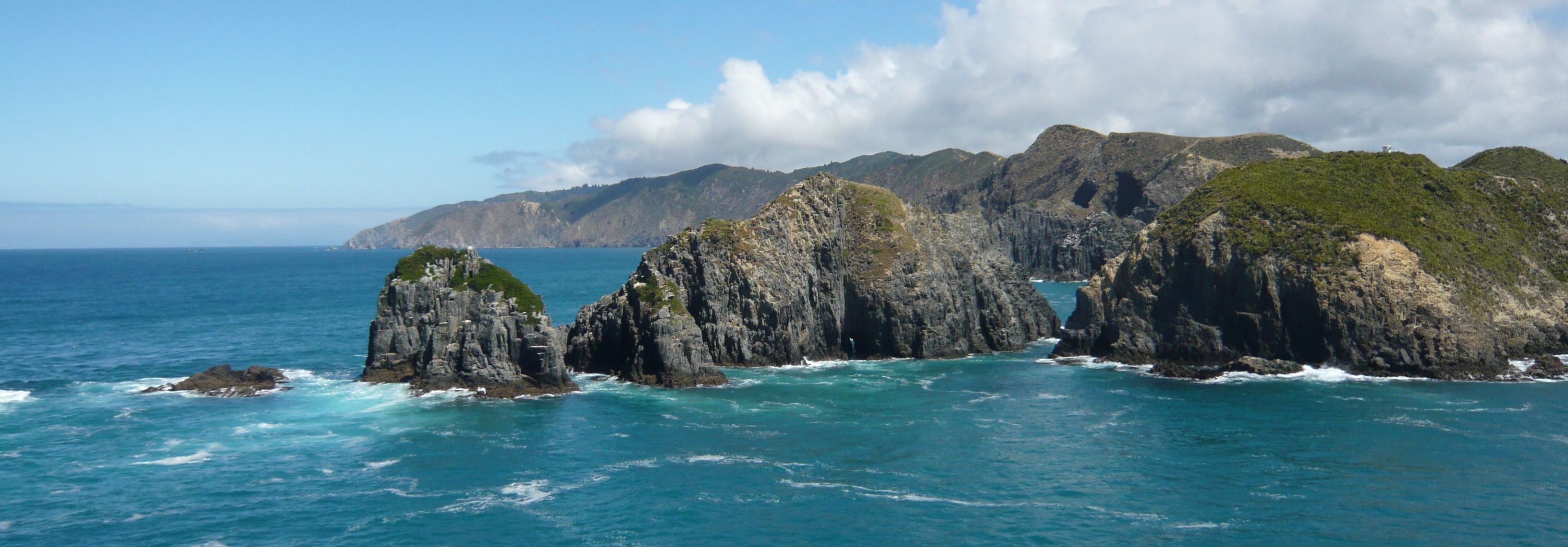 New_Zealand_South_Island_North_Coast.jpg