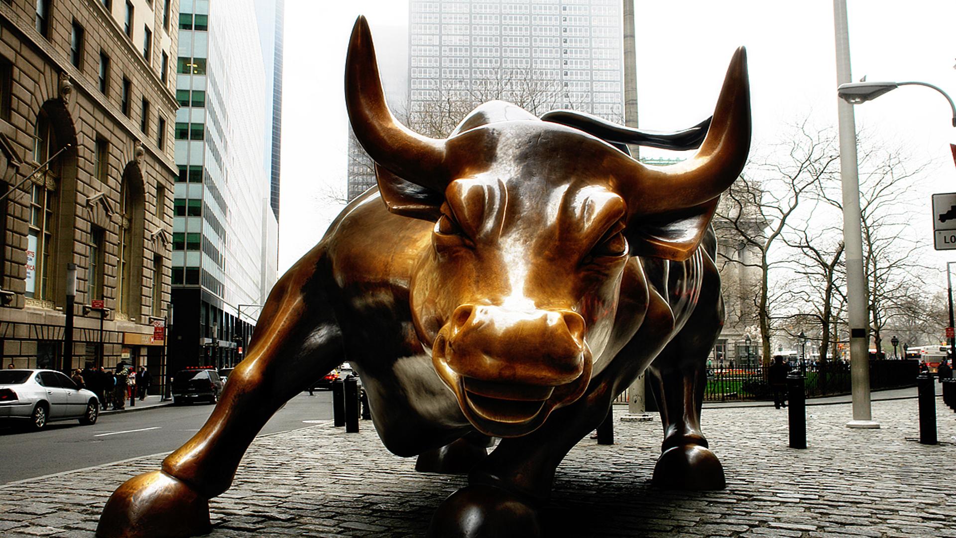 bull of wall.jpg
