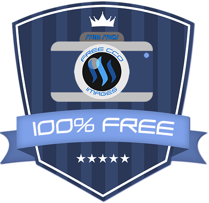 100% FrEE camera +.png