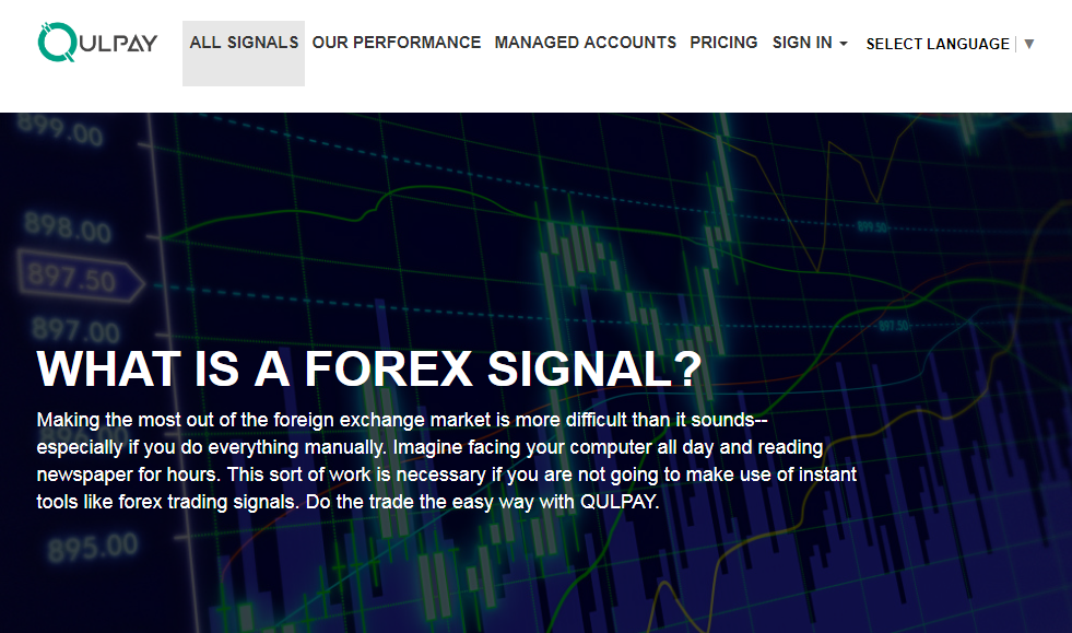 100 Forex Trading Signal Please Watch This Web Site Best Signal - 