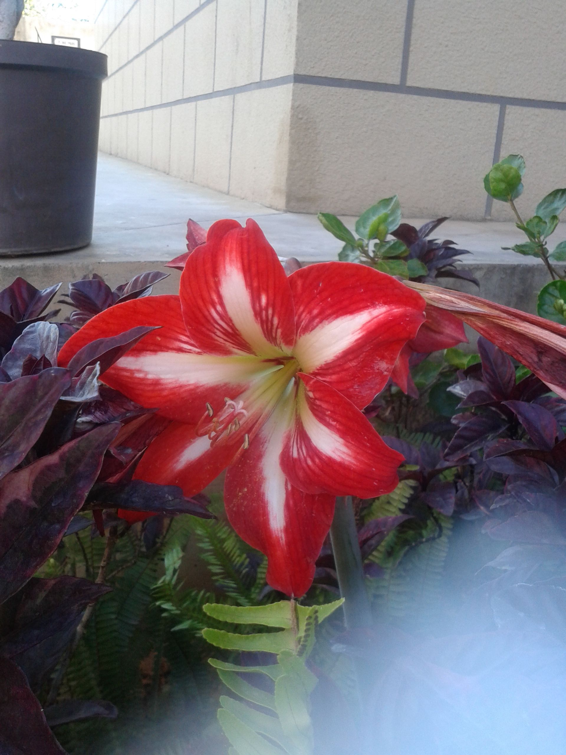 20180228_162243.jpg