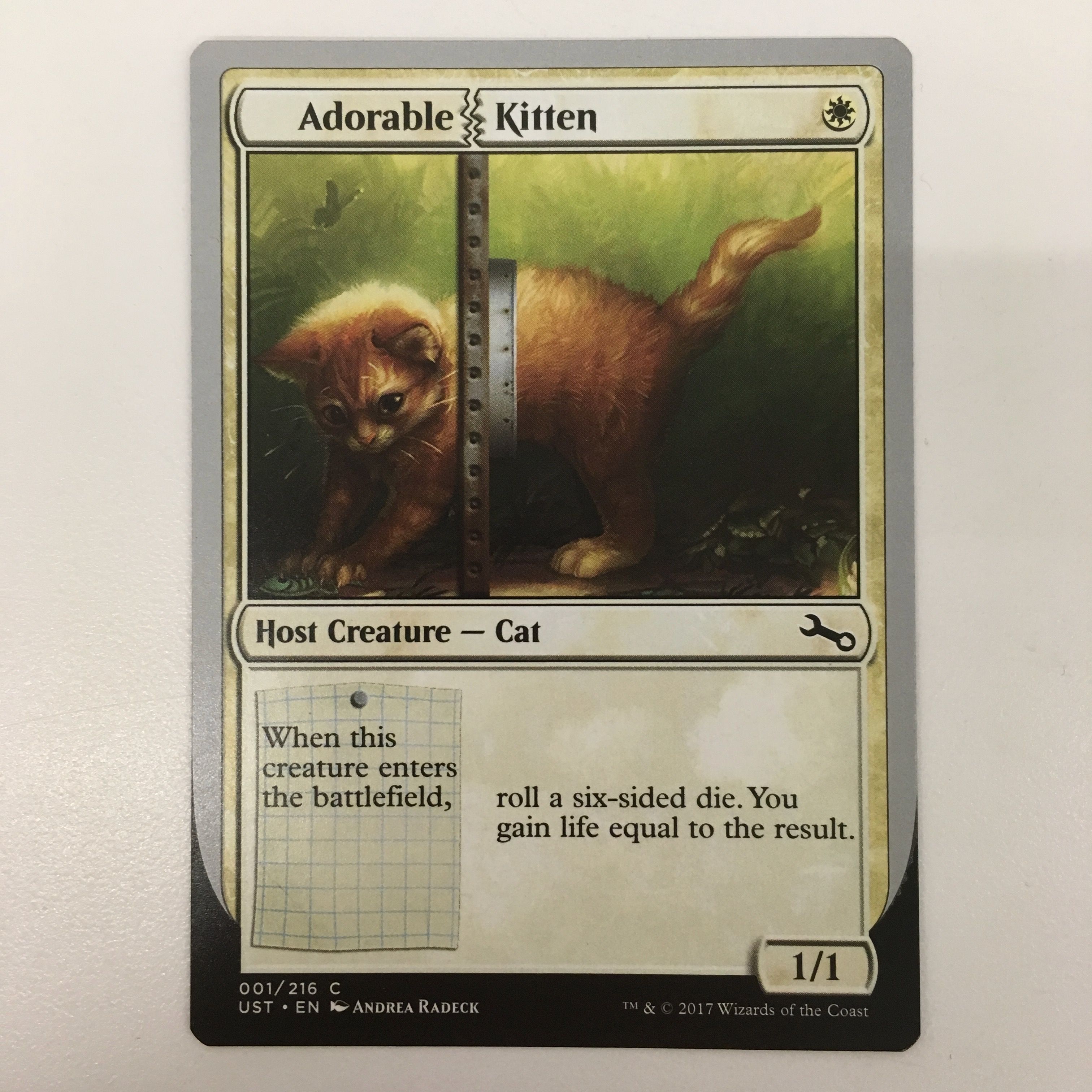 Adorable Kitten @iamredbar