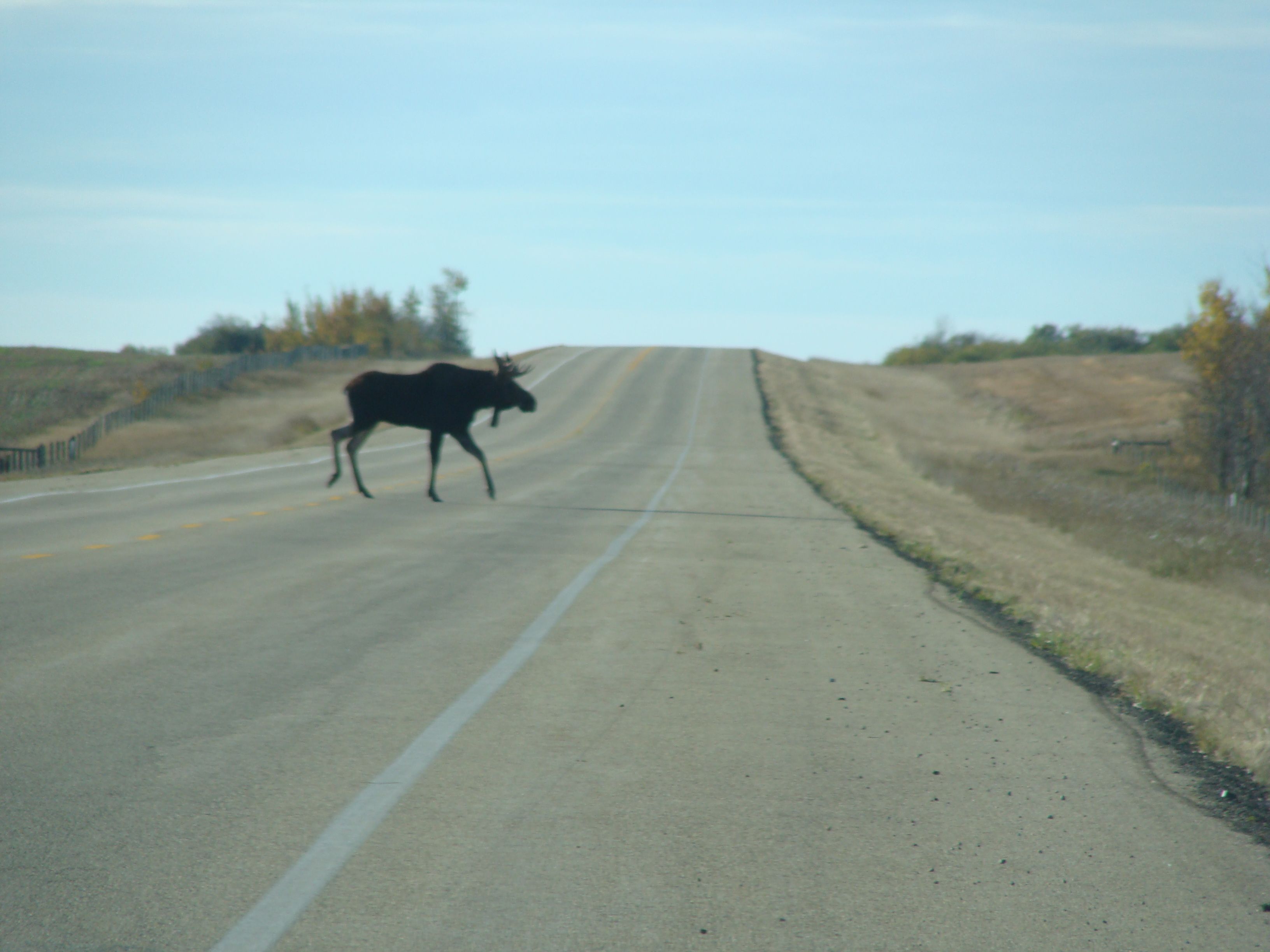 2012-10-07 17.22.37.jpg