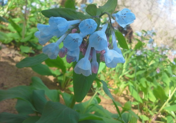 20150412_152306.jpg