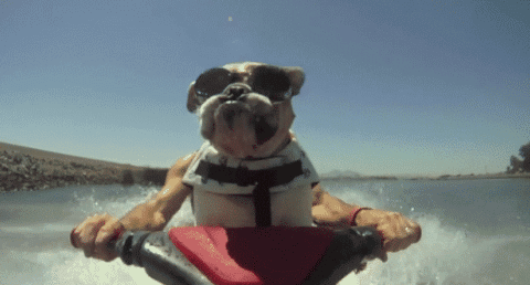 adventure-time.gif