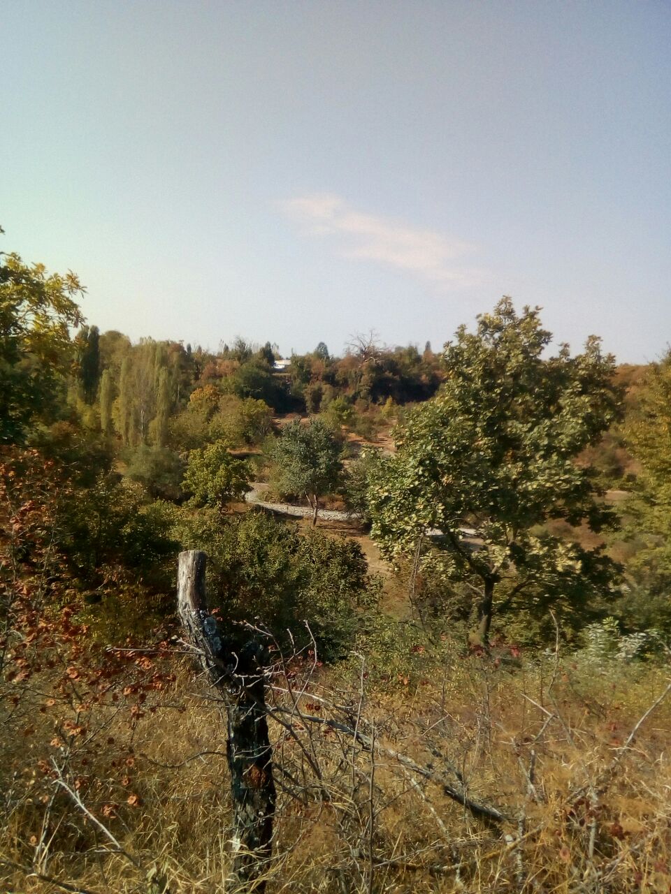 IMG-20170924-WA0005.jpg