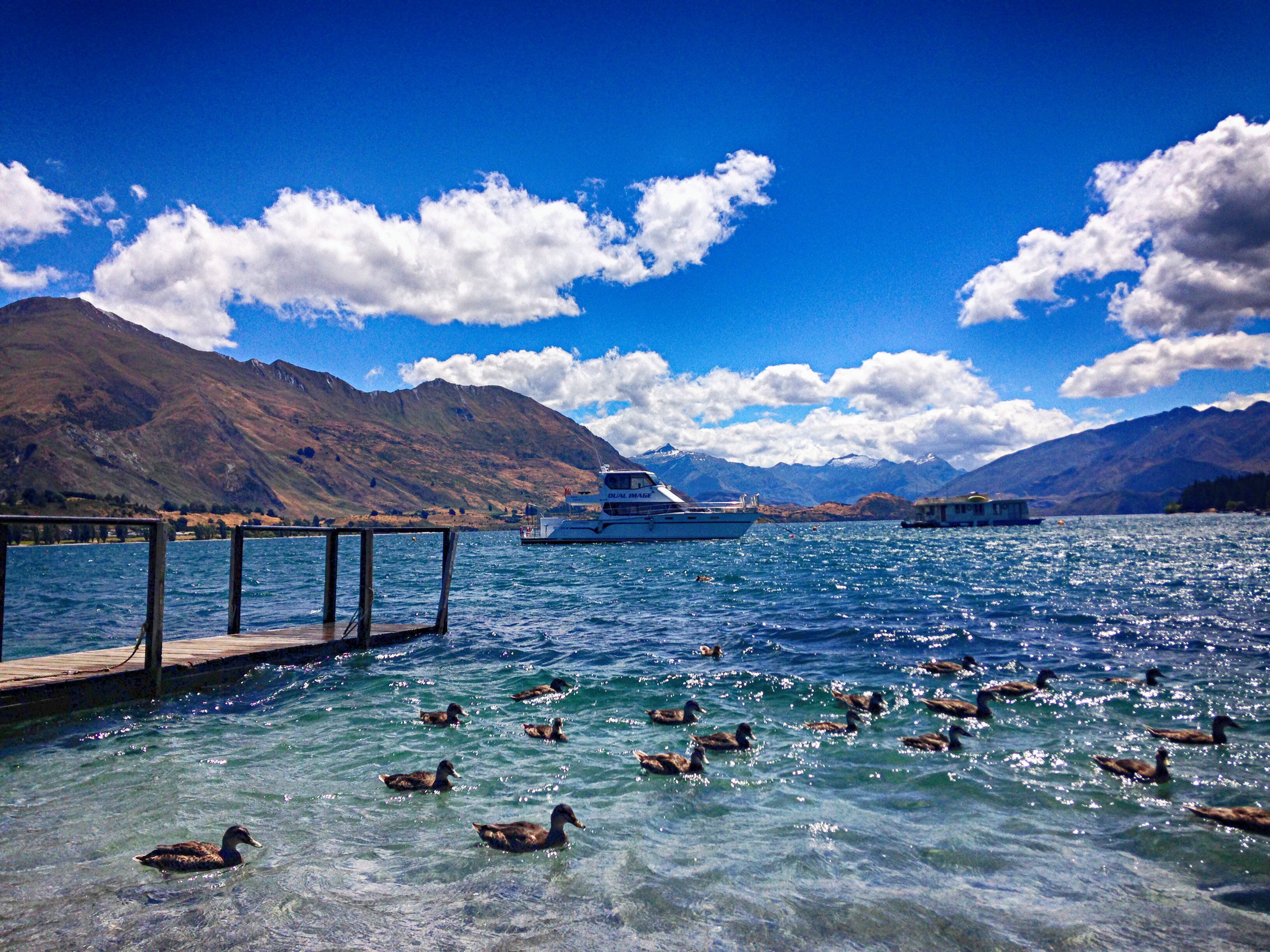 wanaka.JPG