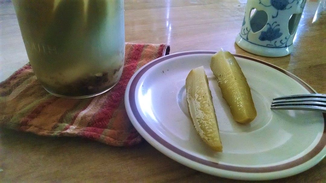 Fermented Pickles.jpg