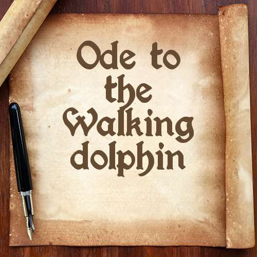 Ode to the Walking dolphin