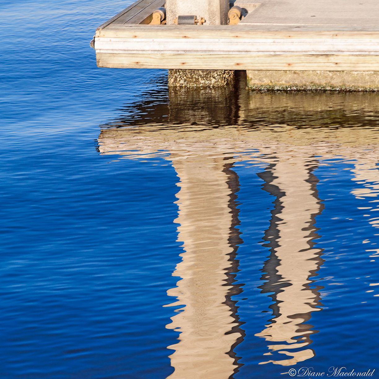 pier reflections on st johns river.jpg