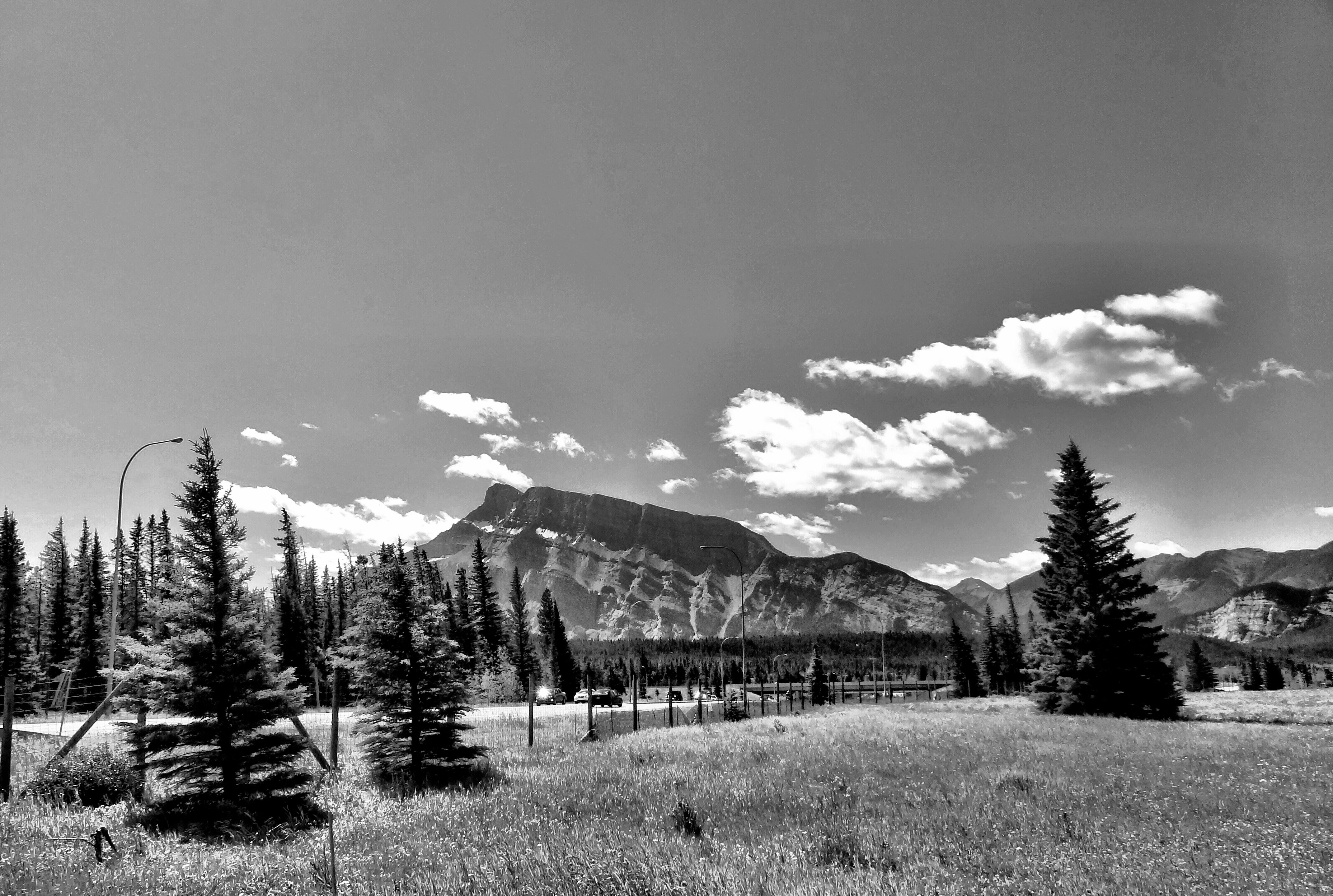 A42D79F4-6EC9-4B47-9084-46F5C898480B.jpeg