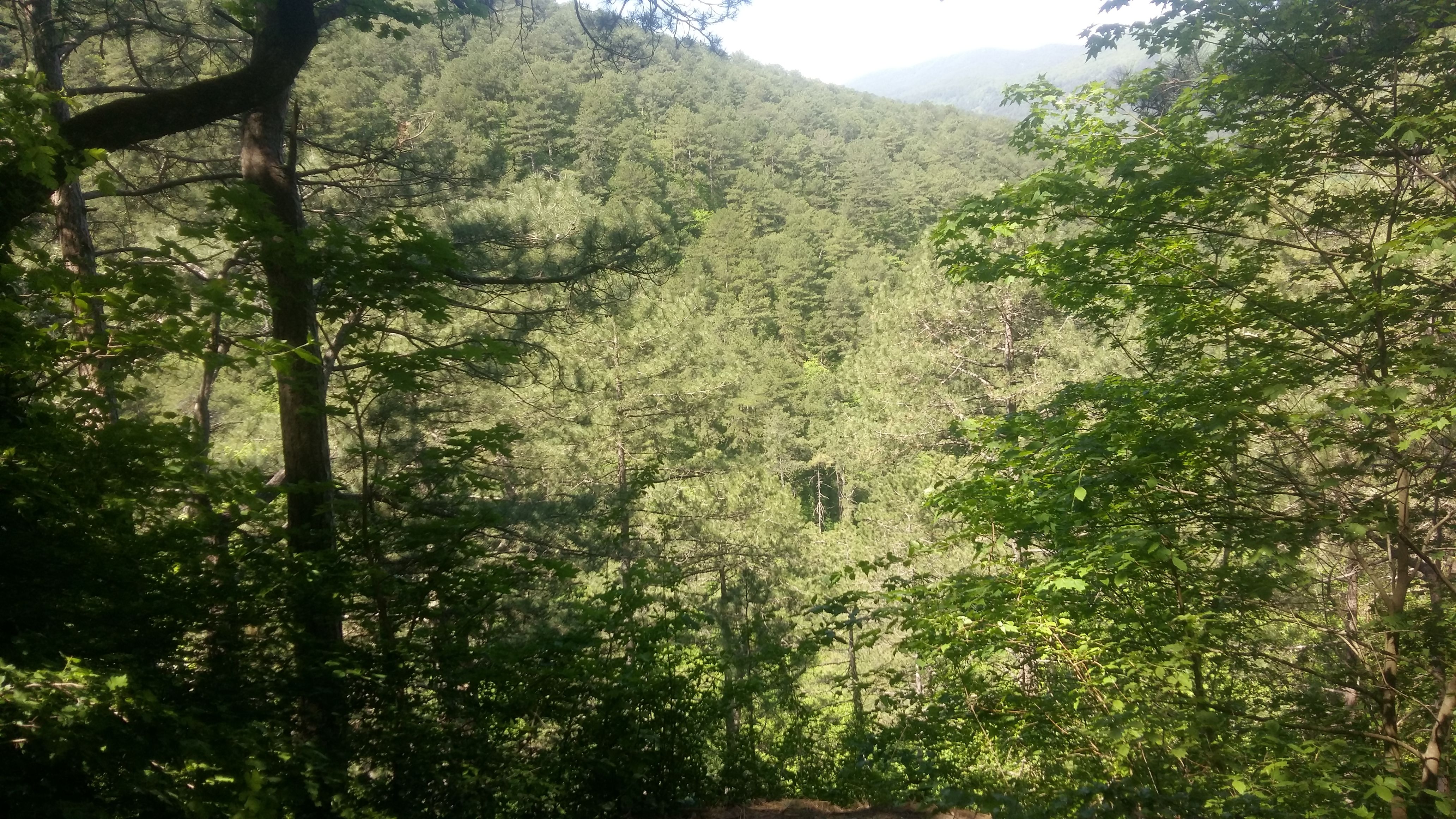 20180502_122026.jpg