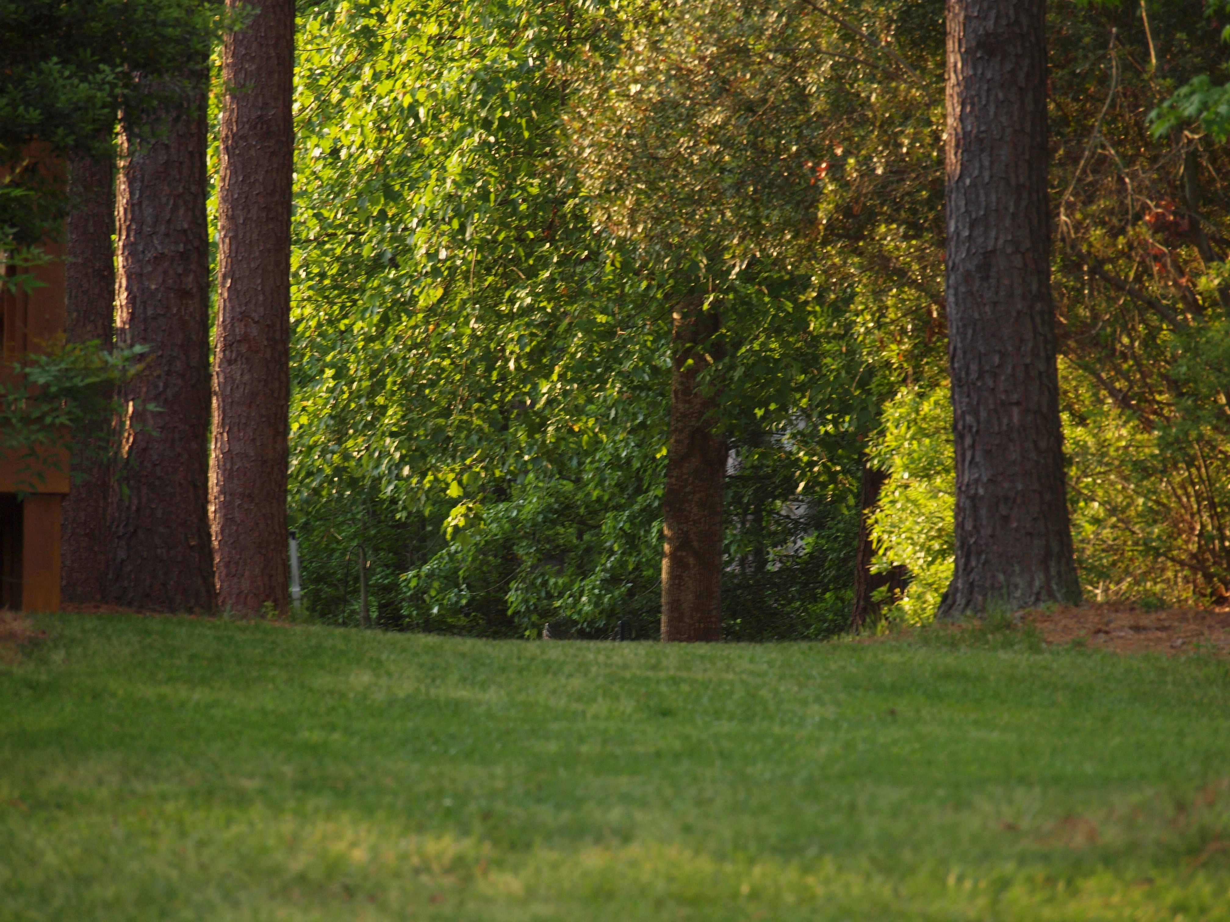 HarrisLake069.jpg