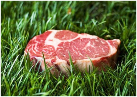 grass-fed-beef1.jpg