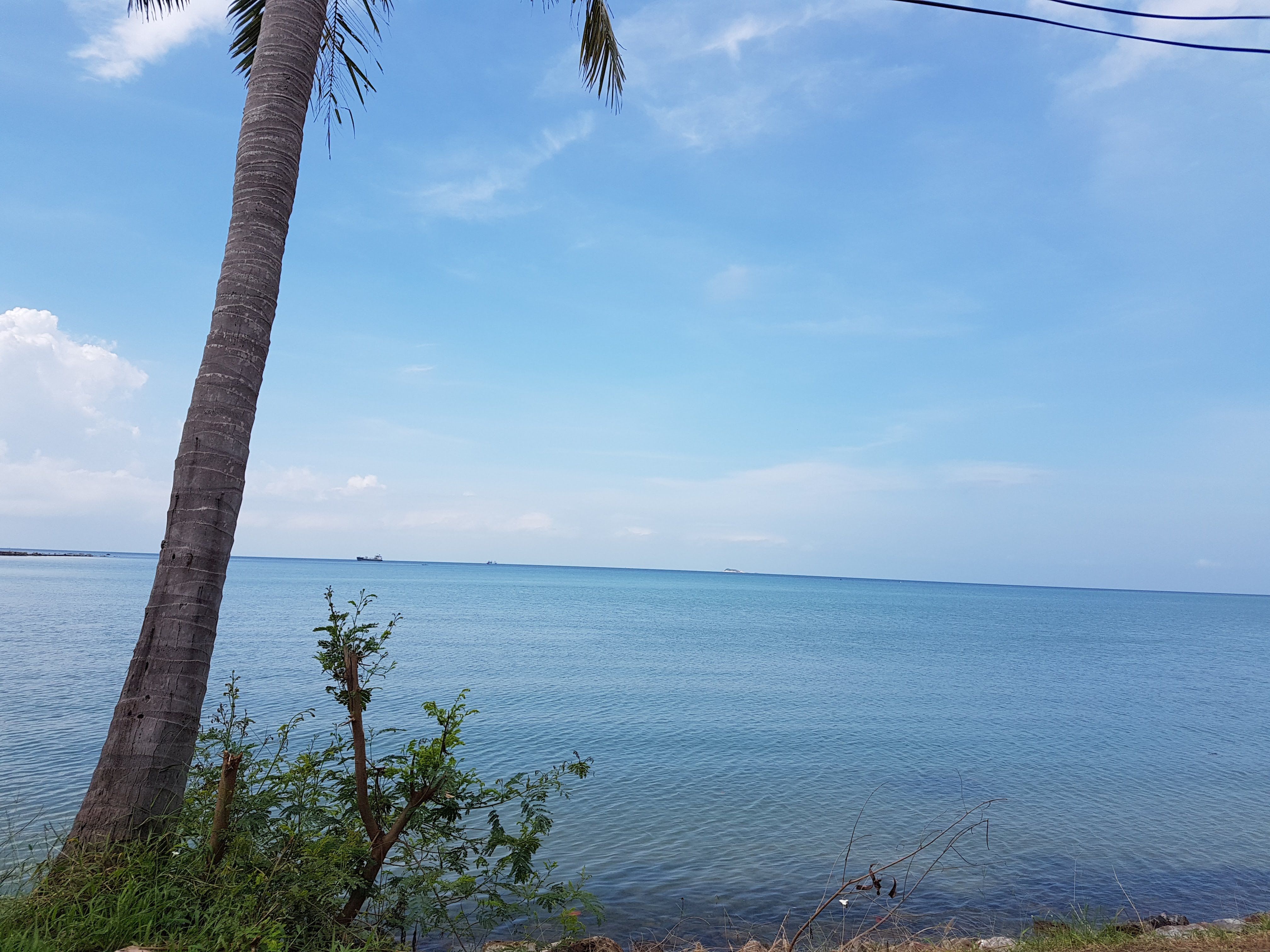 20180106_113259.jpg