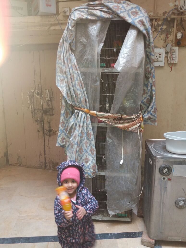 WhatsApp Image 2018-02-09 at 4.48.31 PM (1).jpeg