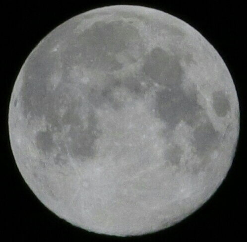 moon pic_04-30-2018.jpg