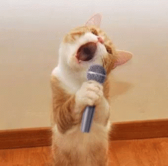 tenor.gif