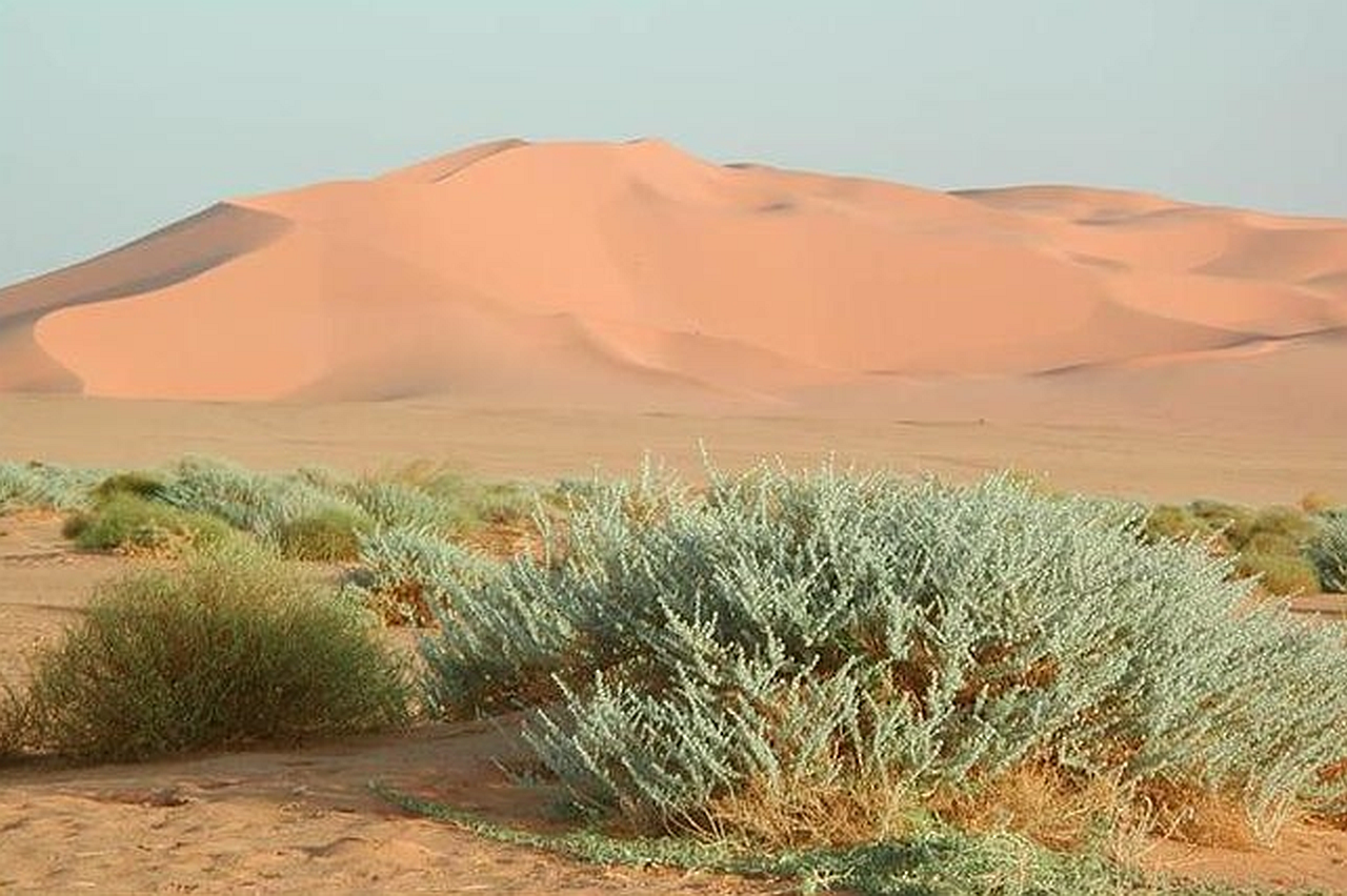 Marzuk Dunes 1.png