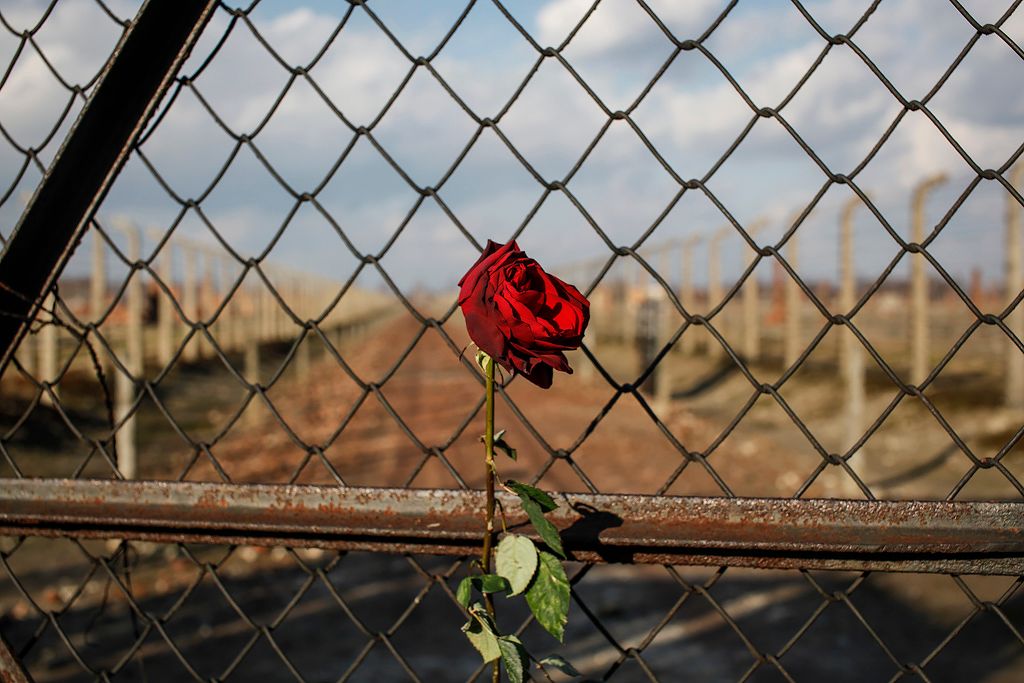 Krakow-2011 1123.jpg