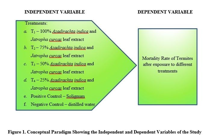 Science Investigatory Project Termiticidal Effect Of Azadirachta