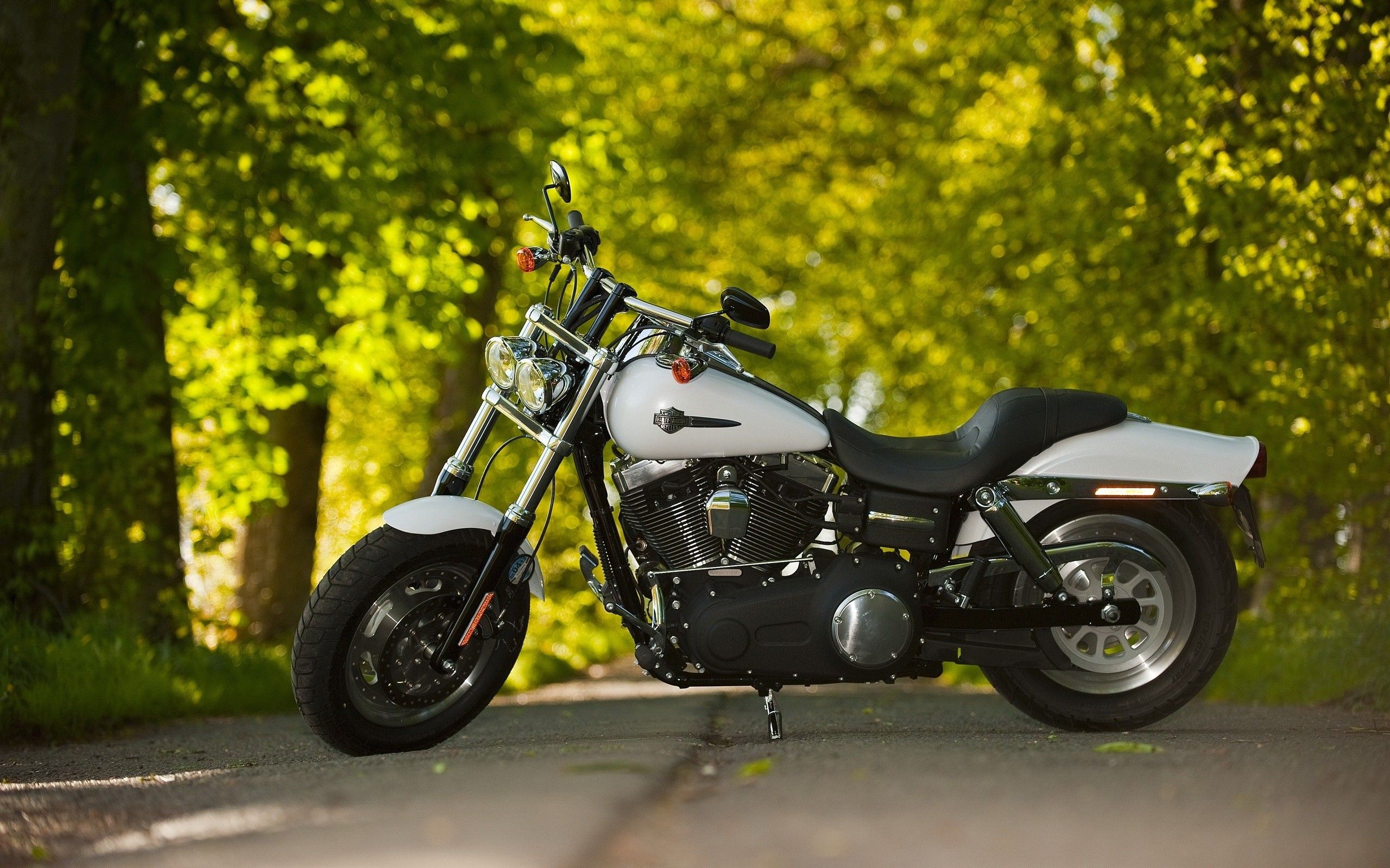 Black_and_White_Harley_Davidson_Bike_on_Road_HD_Wallpapers.jpg