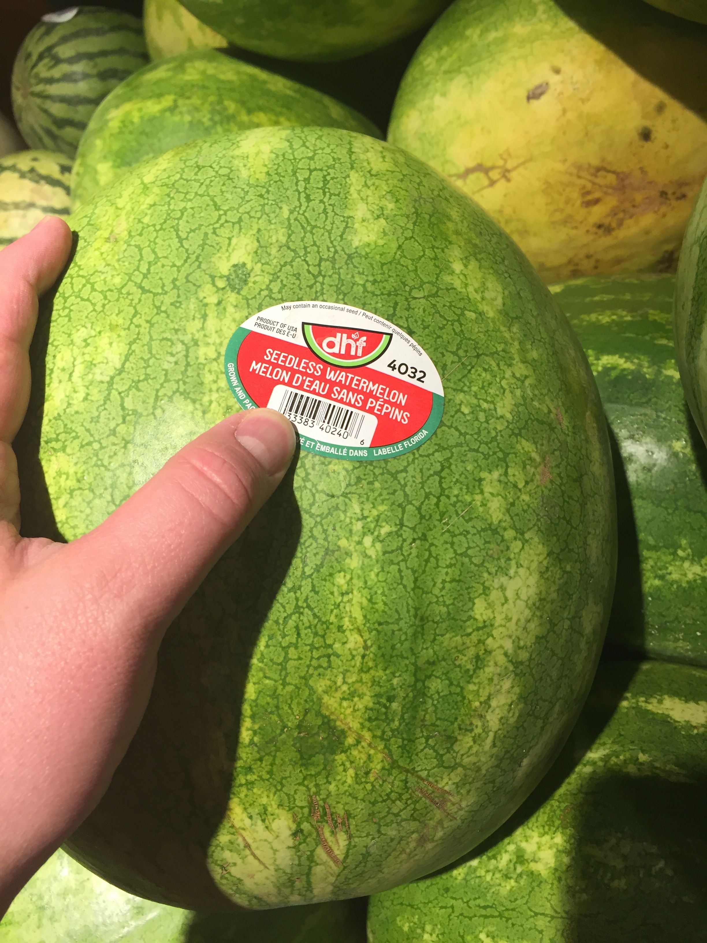 Why I Didn't Buy This Seedless Melon At Kroger Today... — Steemit