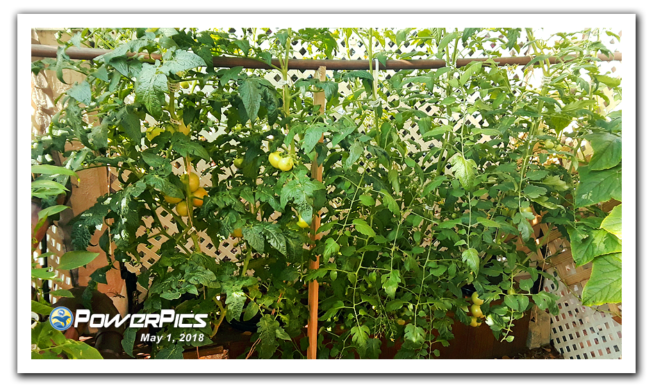 Garden-Update-05012018-01-PowerPics.png