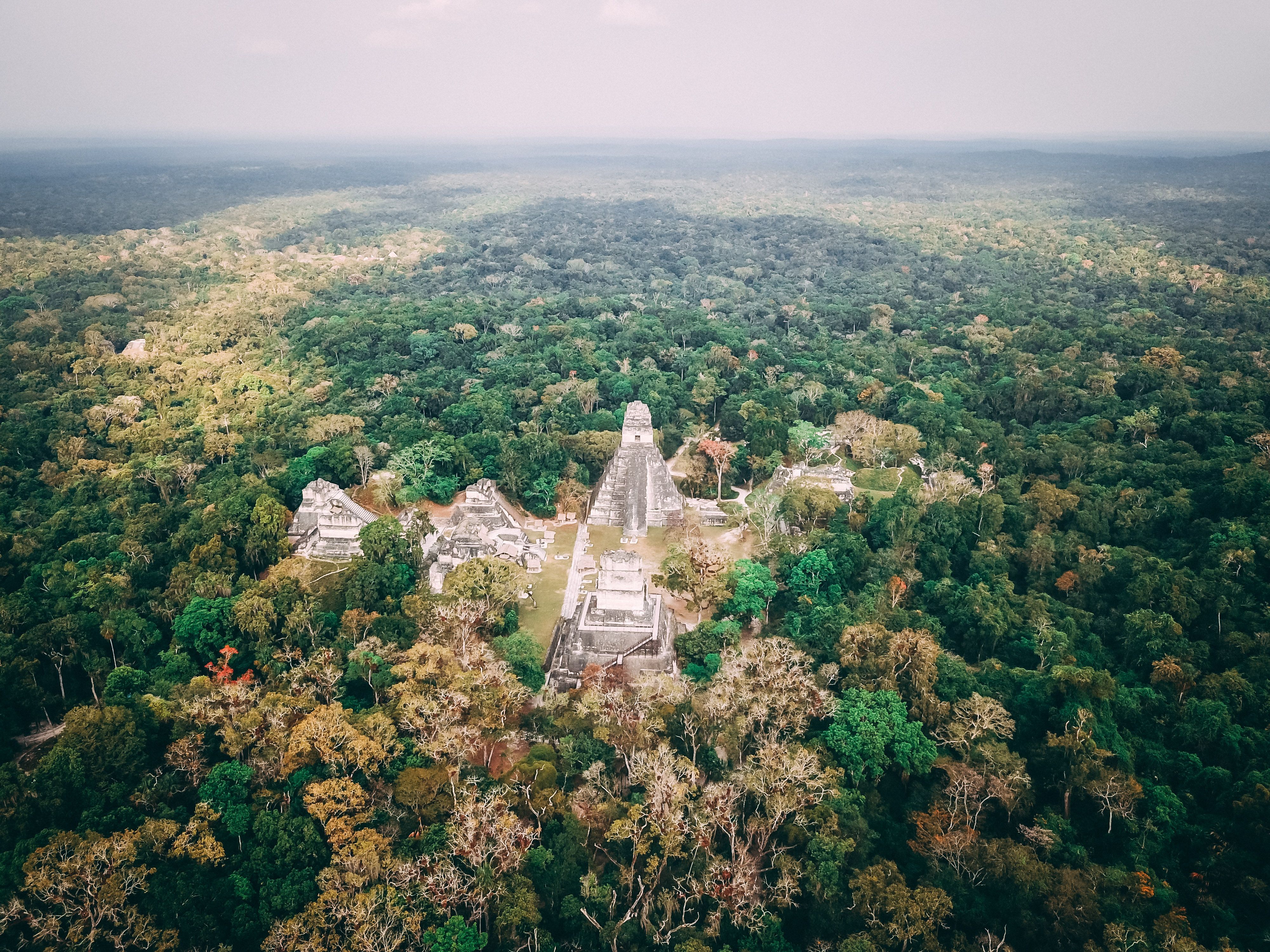Tikal Guatemala Drone North Acropolis