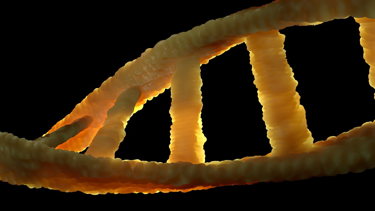 dna_dns_biology_genetic_material_double_helix_molecule_adenine_thymine-625449.jpg!d.jpg