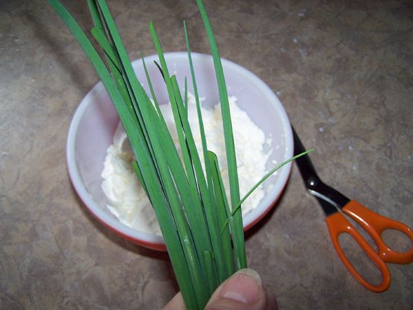 Fresh chives for kefir cheese crop April 2016.jpg