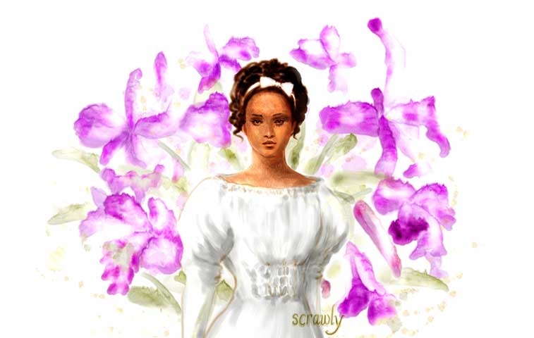 Orchid