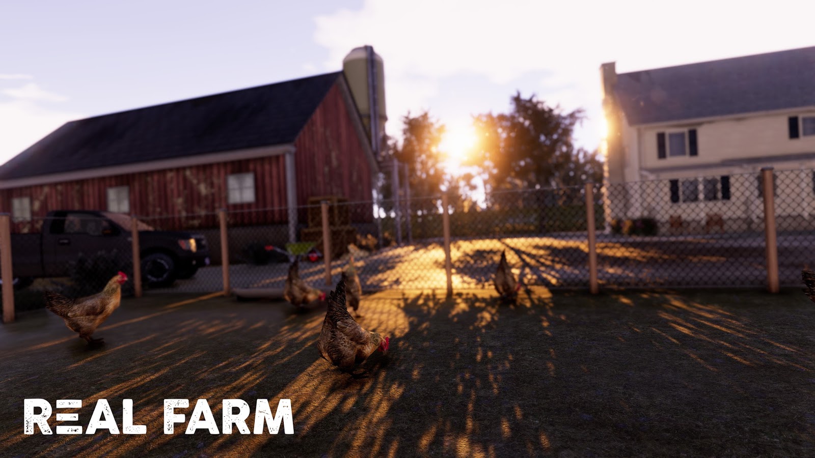 Real Farm_Screenshot_Chicken_Watermarked.jpg