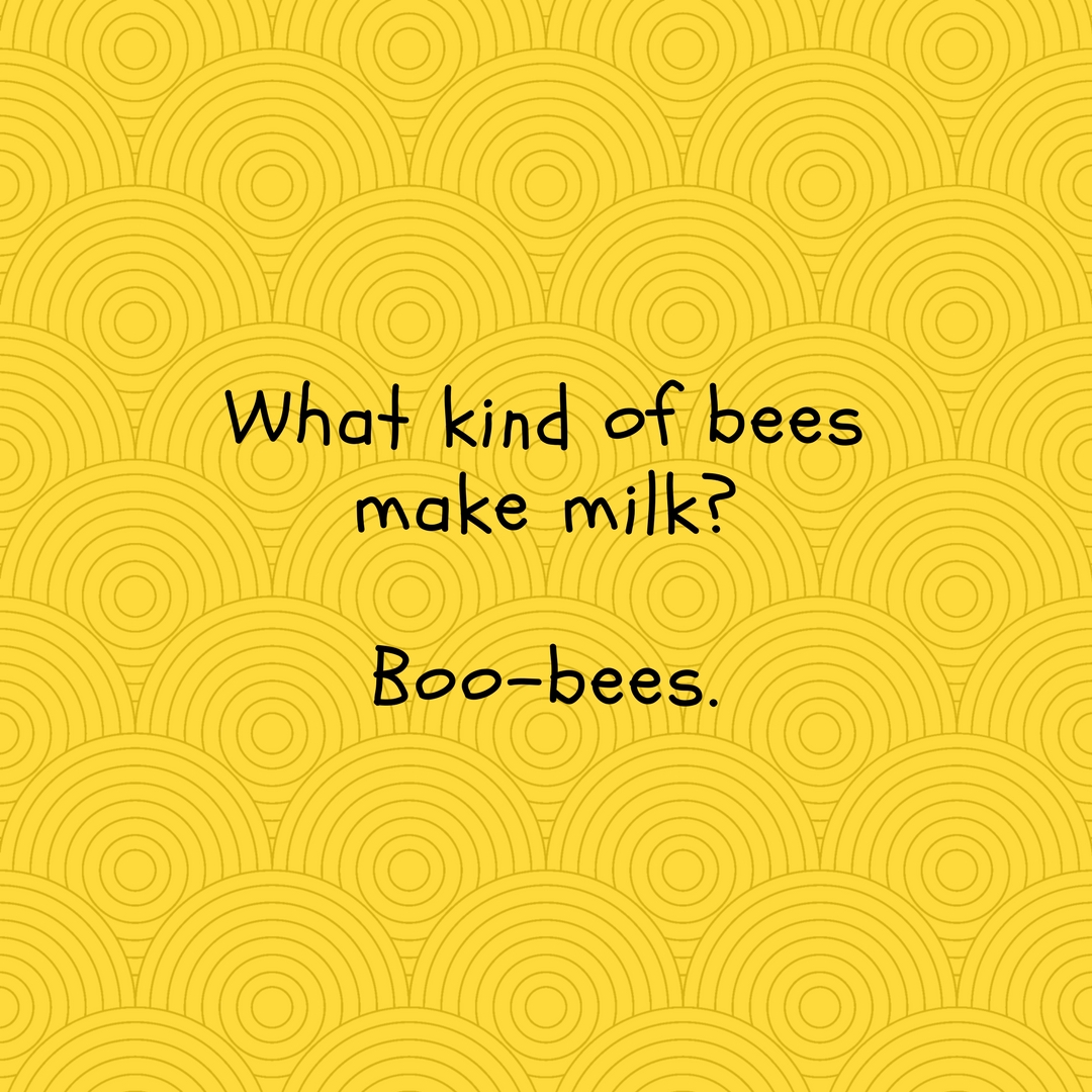 Bees Milk Boobies .jpg
