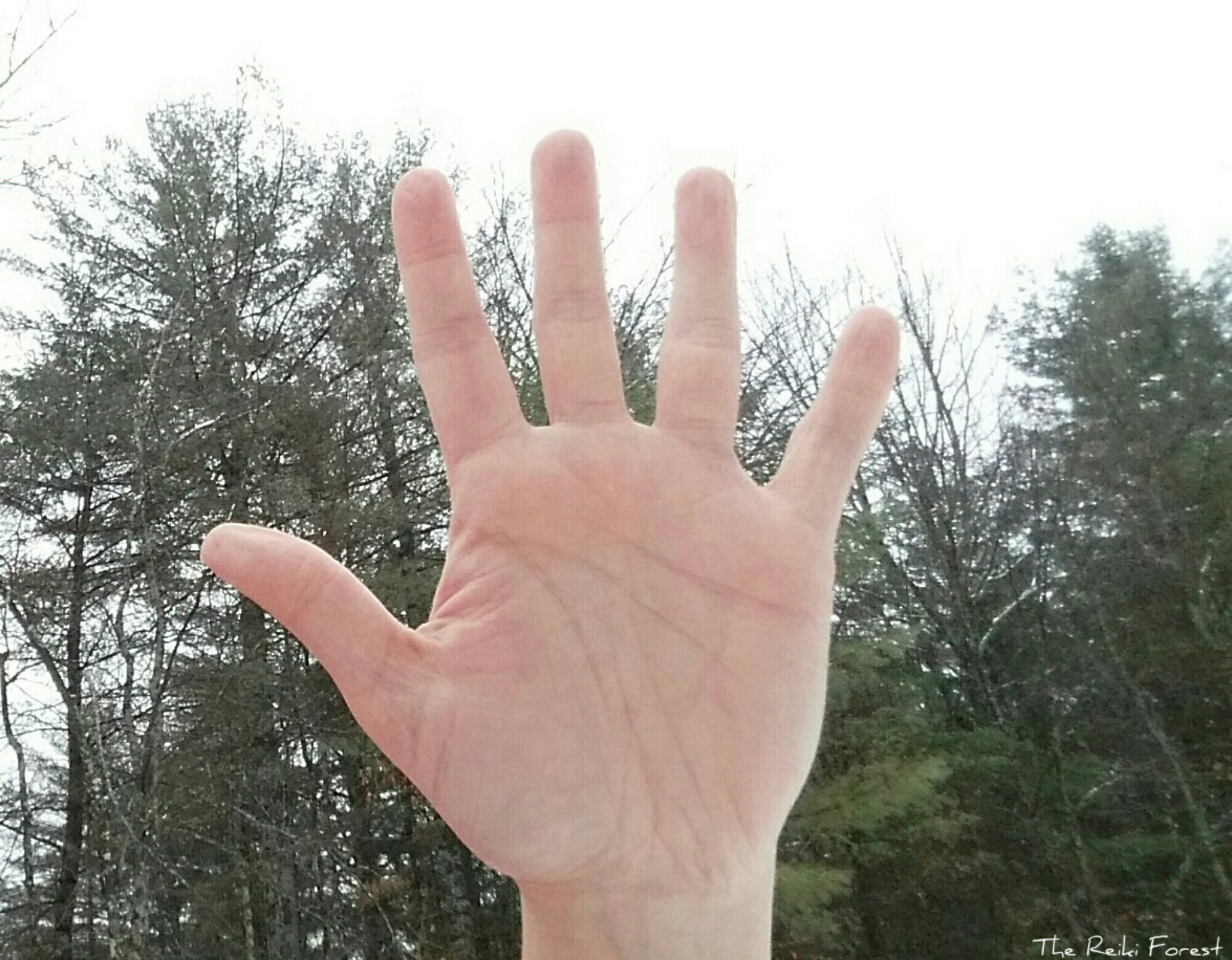 Image-20170405_195235.jpg