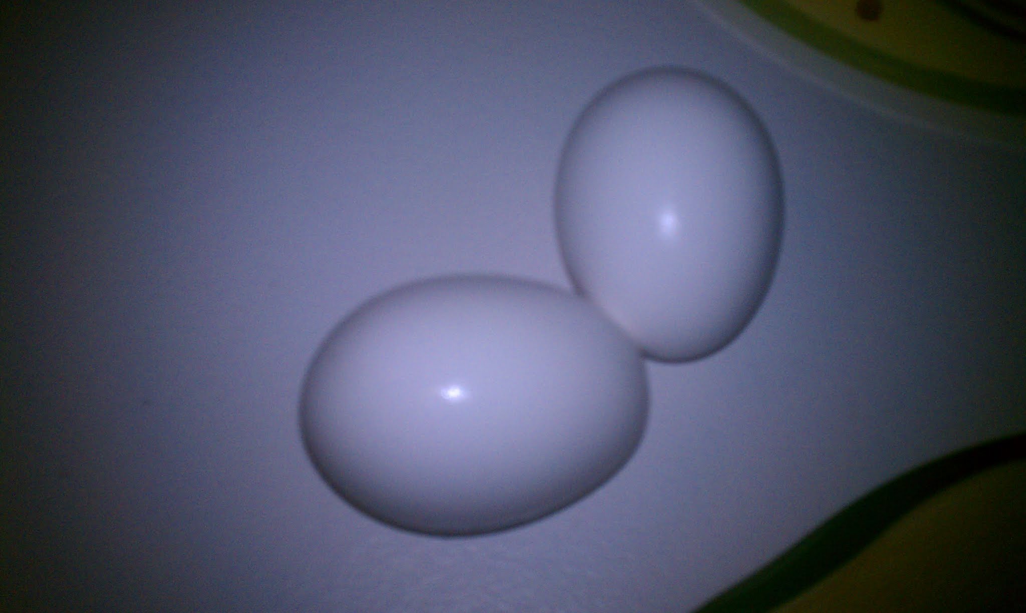 IMAG0358.jpg