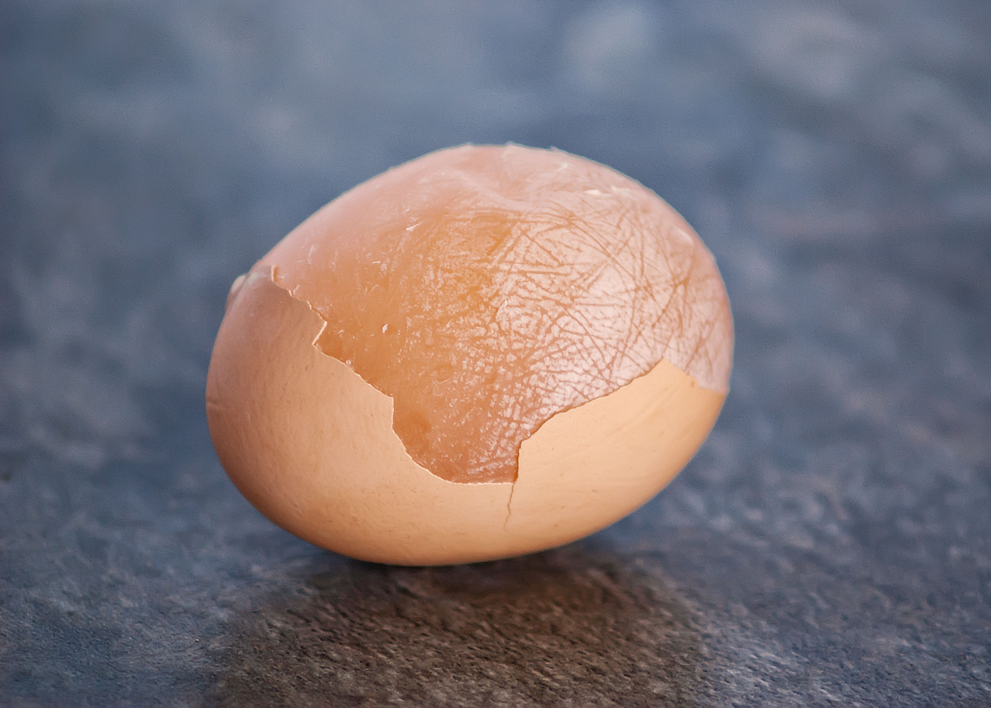 Силен яйцо. Egg without Shell. Отката сильная на яйце.