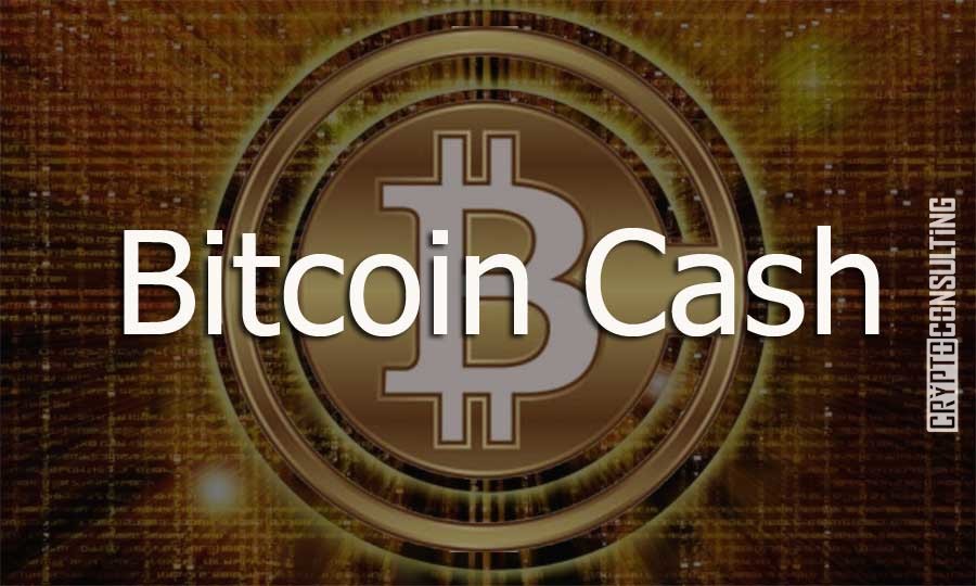 Buy Bitcoin Cash Invest In Bitcoin Cash Steemit - 