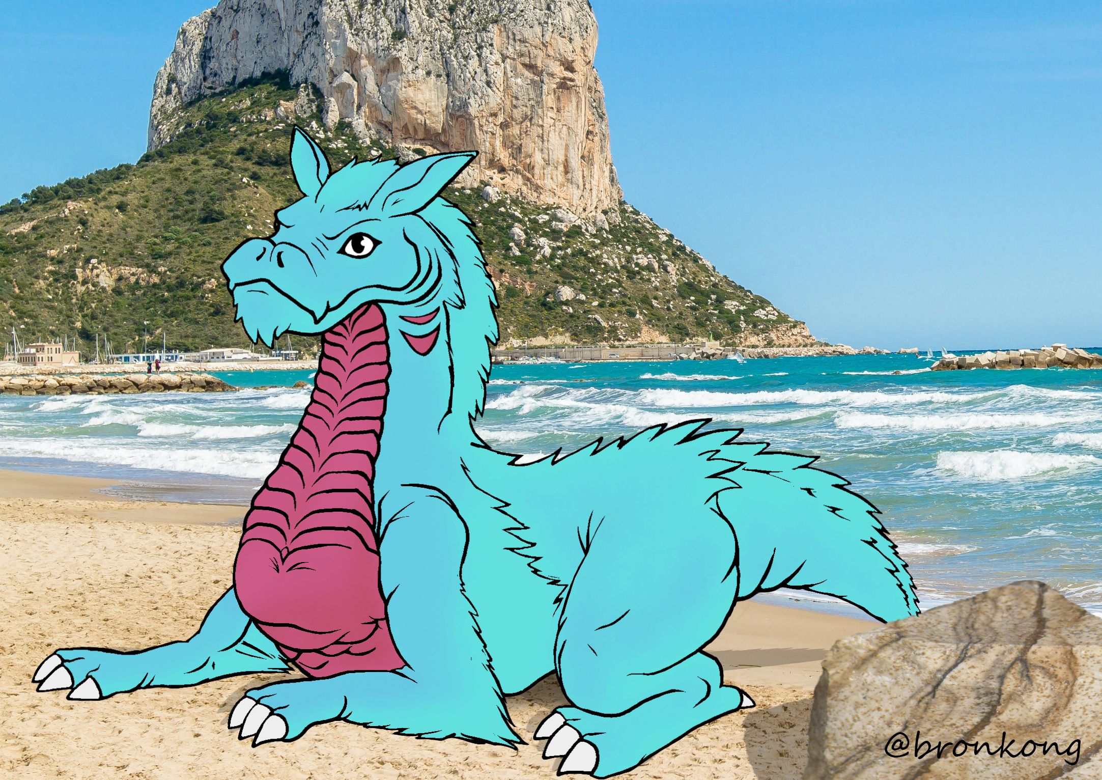 strand.jpg
