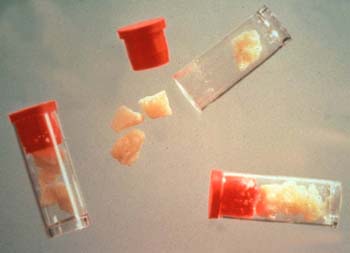 Crack_Rocks_in_Vials.jpg