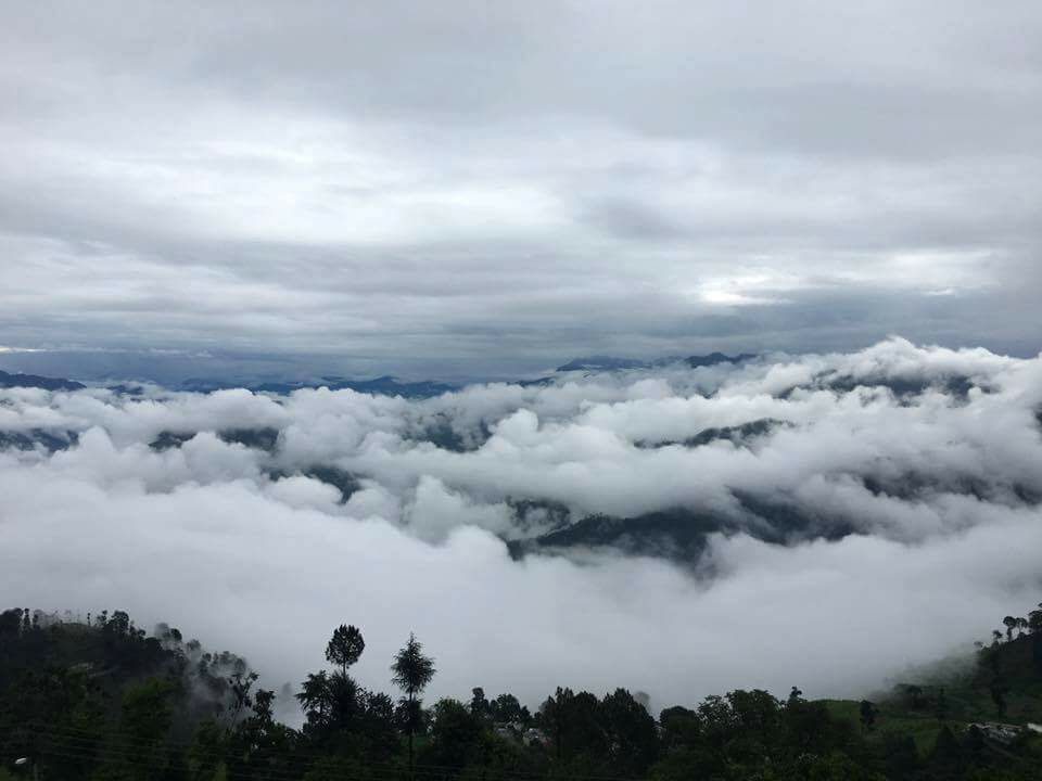 pauri.jpg