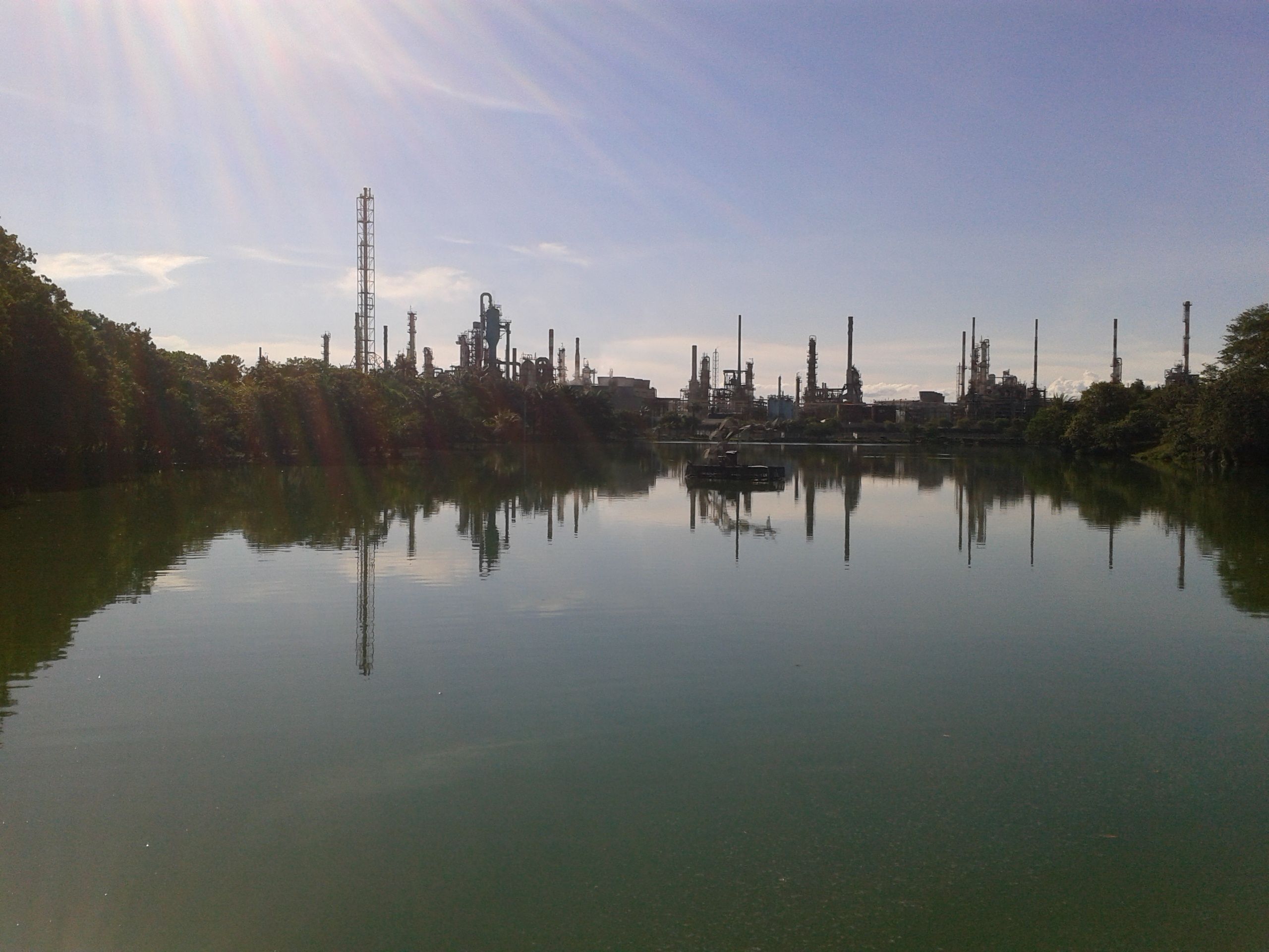 2011-02-01 15.39.41.jpg