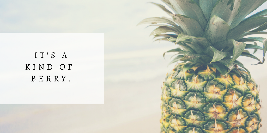 Green and Yellow Photo Quotes Fall Twitter Post (14).png