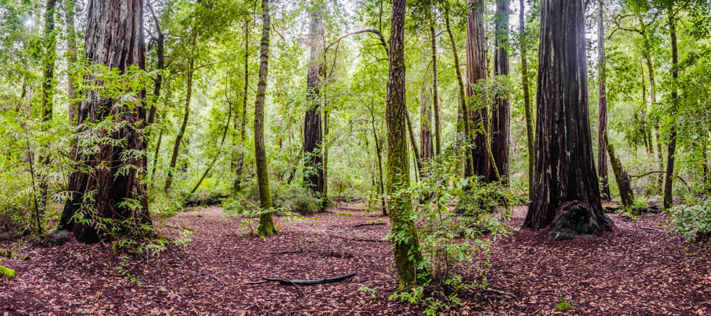 DSC_4479-HDR-Pano.jpg