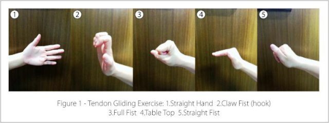 CTS-Tendon-Gliding-Exercise.jpg