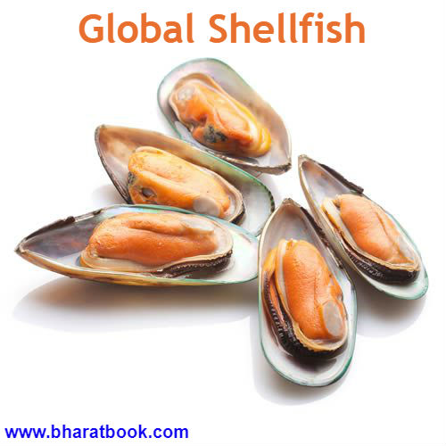 Global Shellfish.jpg