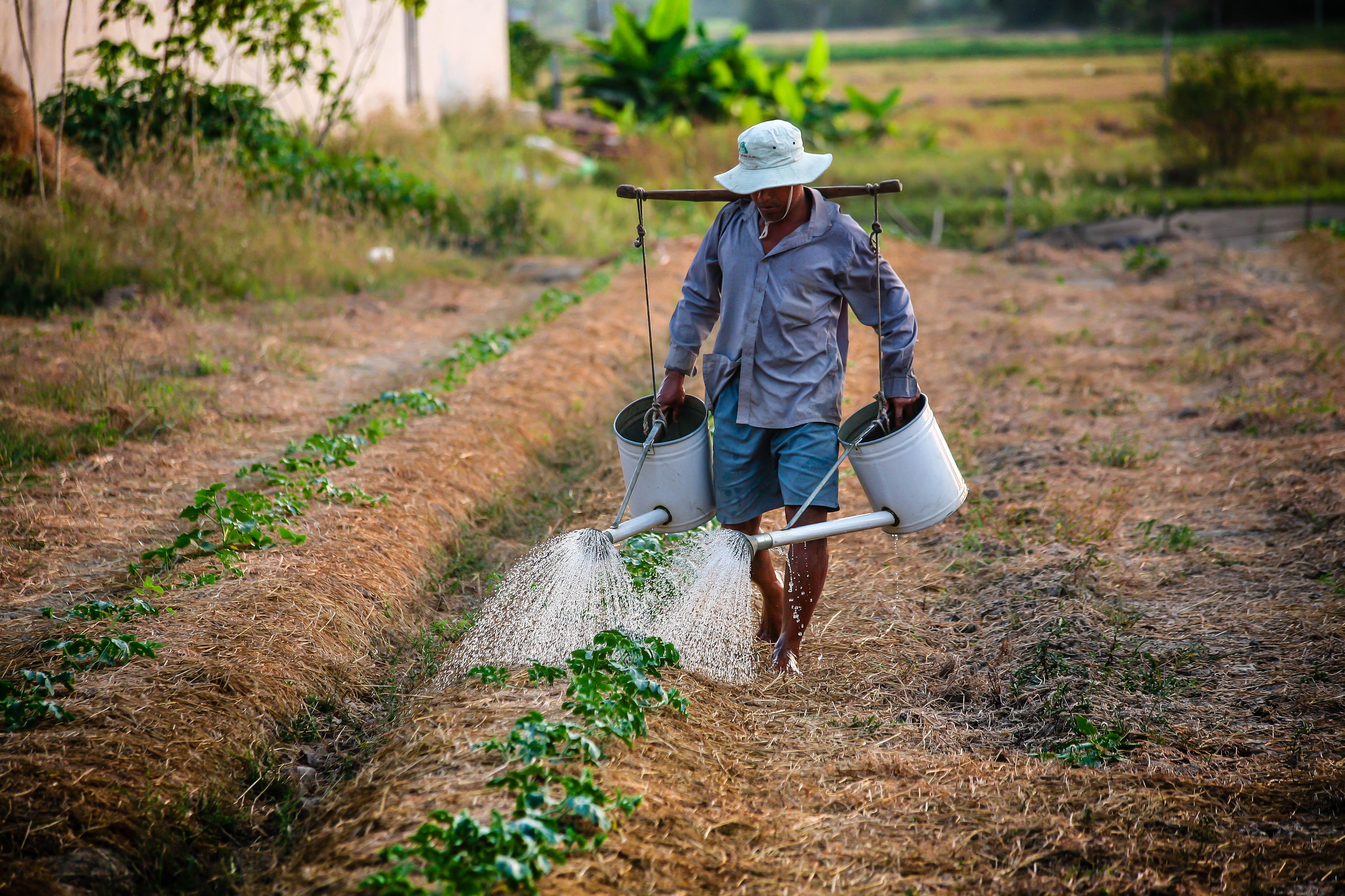 watering-watering-can-man-vietnam-162637.jpeg
