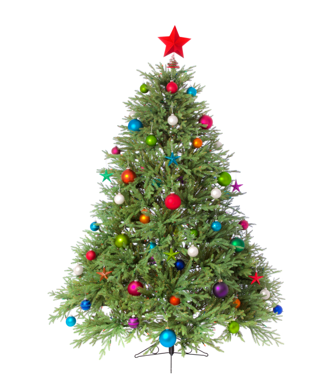 christmas-tree-isolated_venplz.jpg